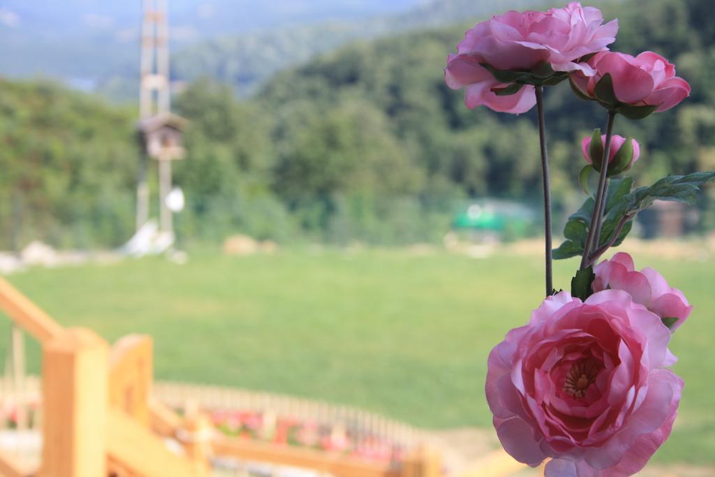 Motel Zumrut Bahce Gokcedere Zewnętrze zdjęcie